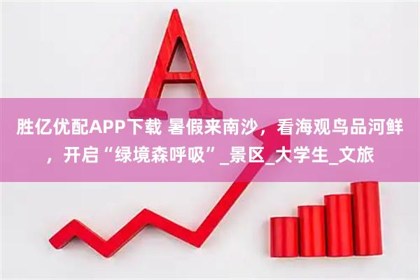 胜亿优配APP下载 暑假来南沙，看海观鸟品河鲜，开启“绿境森呼吸”_景区_大学生_文旅