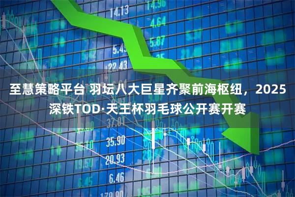 至慧策略平台 羽坛八大巨星齐聚前海枢纽，2025深铁TOD·天王杯羽毛球公开赛开赛