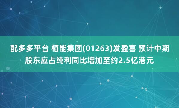 配多多平台 栢能集团(01263)发盈喜 预计中期股东应占纯利同比增加至约2.5亿港元